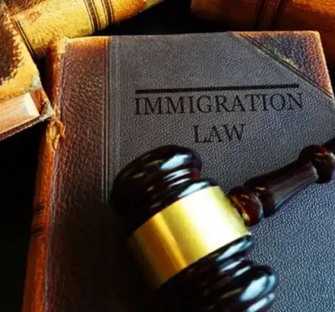 How Can an Immigration Lawyer Help Me